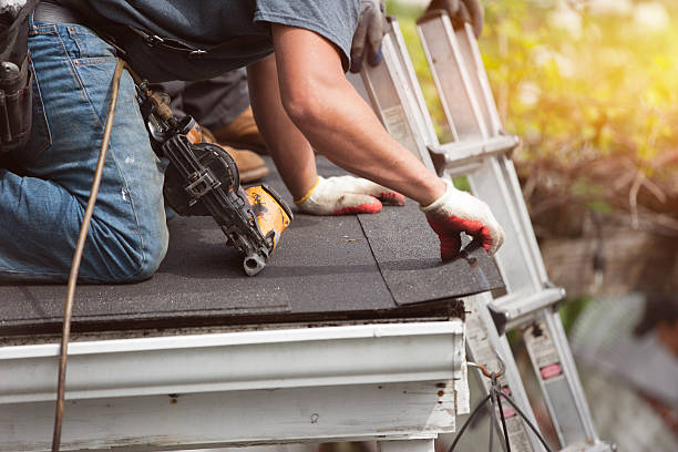 Best Metal Roofing Contractor  in Rupert, WV